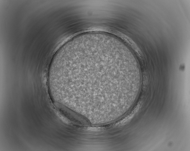 X0000116830985201001151222