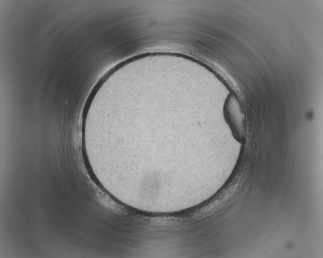 X0000116830988201001151222