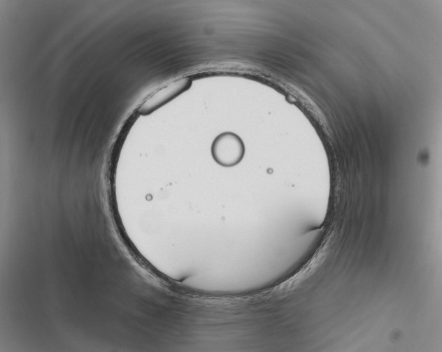 X0000116830989201001151222