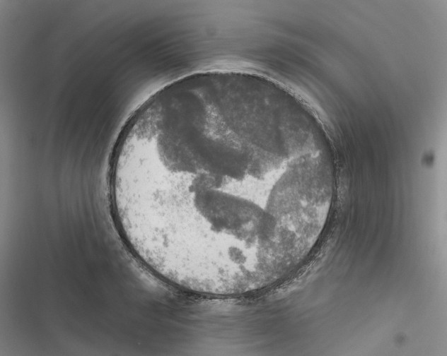 X0000116830990201001151222