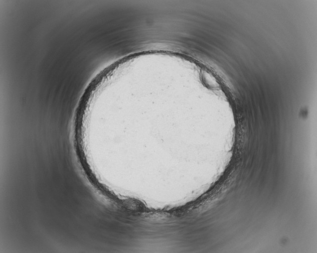 X0000116830991201001151222