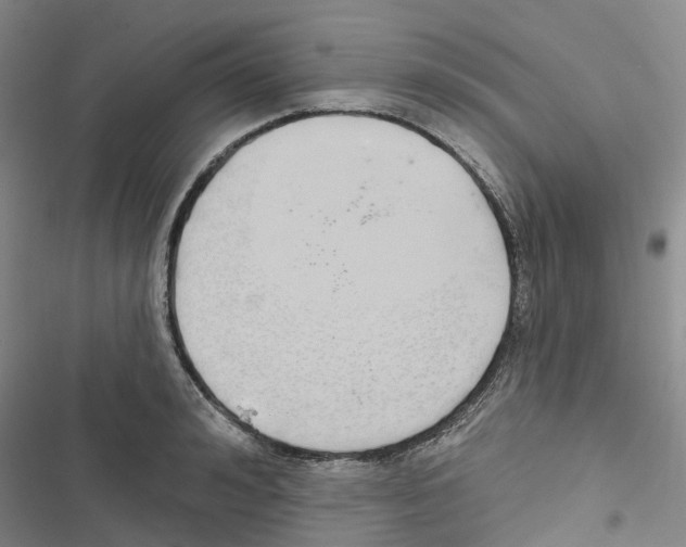 X0000116830992201001151222