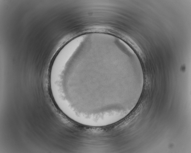 X0000116830994201001151222