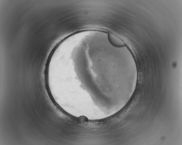 X0000116830995201001151222