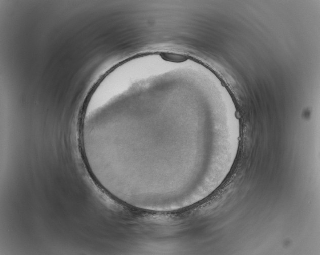 X0000116830998201001151222