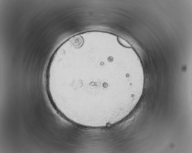 X0000116830999201001151222