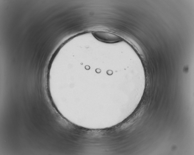 X0000116831000201001151222