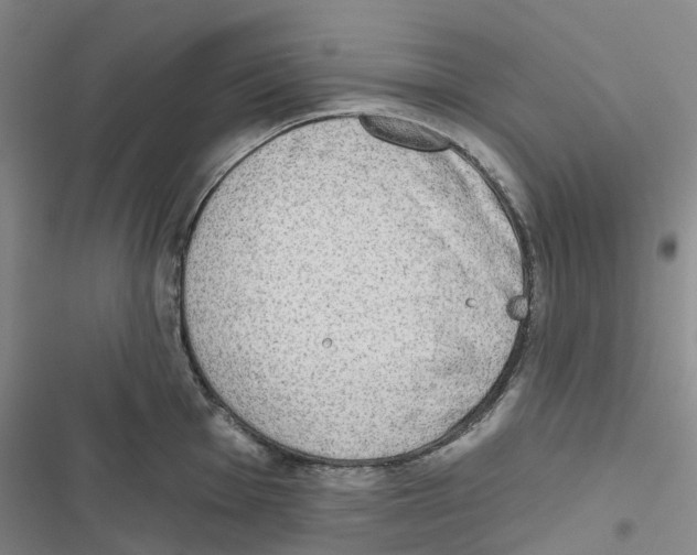 X0000116831001201001151222