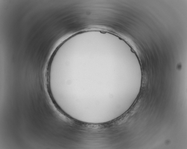 X0000116831003201001151222