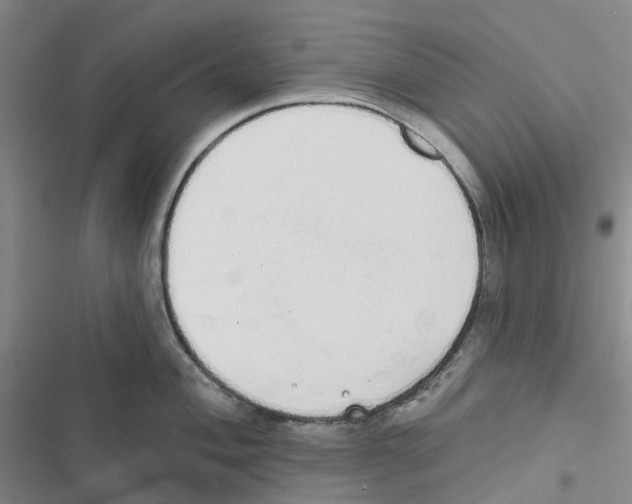 X0000116831004201001151222