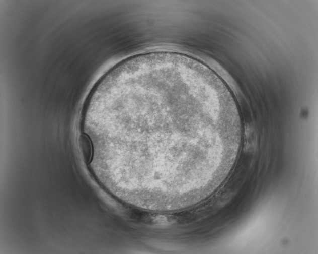 X0000116831005201001151222