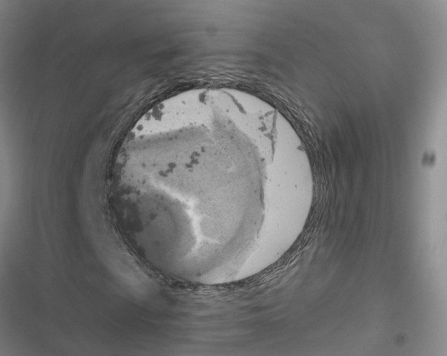 X0000116831009201001151221