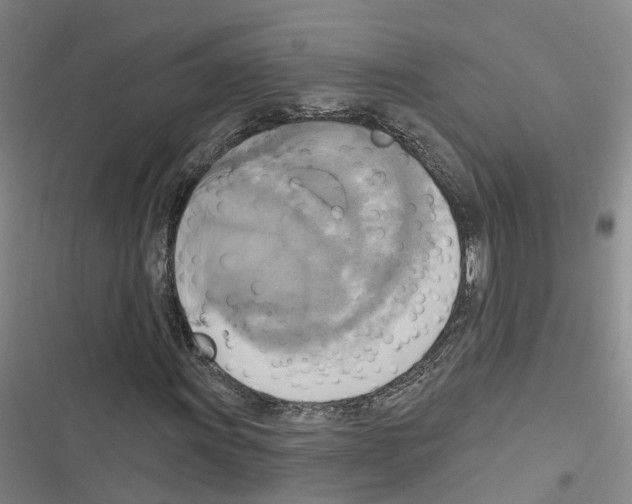 X0000116831011201001151222