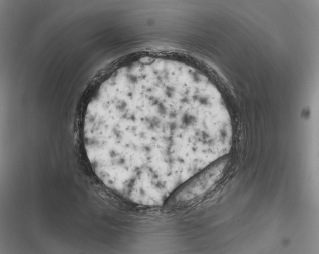 X0000116831016201001151222