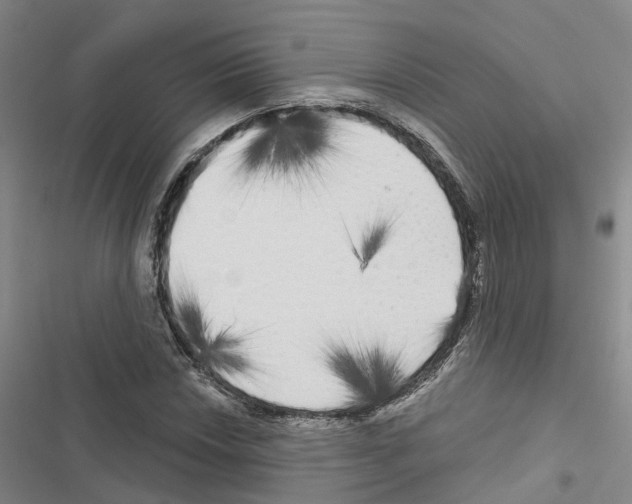 X0000116831018201001151222