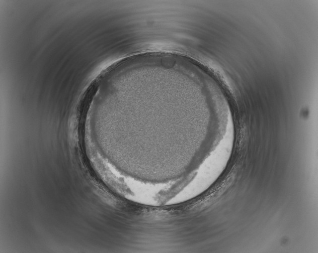 X0000116831019201001151222