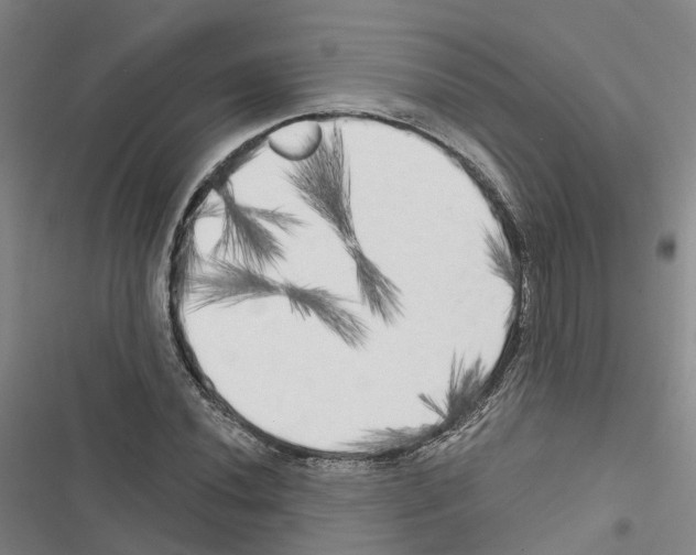 X0000116831020201001151222