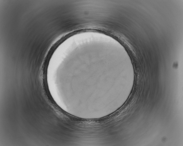 X0000116831024201001151222