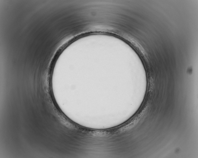 X0000116831029201001151222