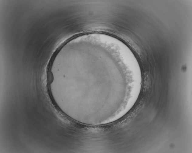 X0000116831031201001151222