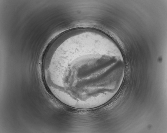 X0000116831035201001151222