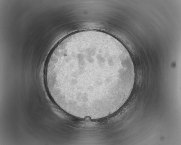 X0000116831039201001151222