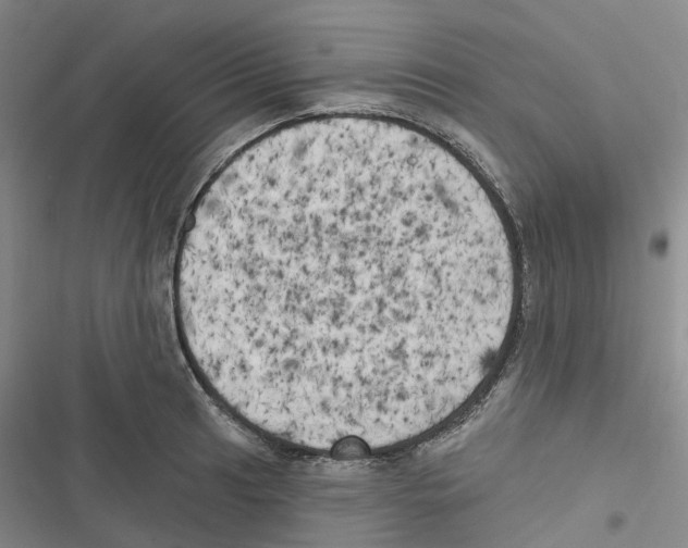 X0000116831041201001151222