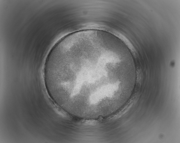 X0000116831043201001151222