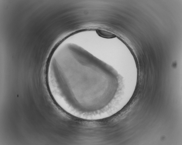 X0000116831045201001151222