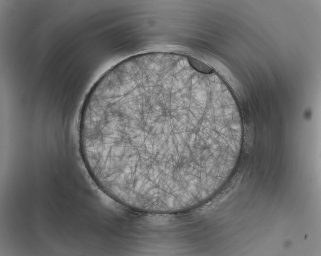 X0000116831046201001151222