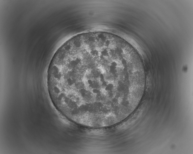 X0000116831047201001151222