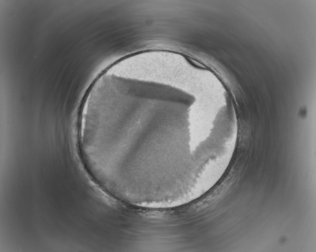 X0000116831048201001151222