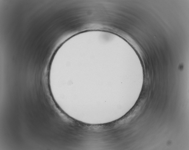 X0000116831053201001151222