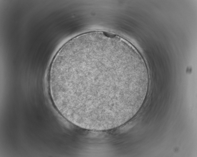 X0000116831056201001151222