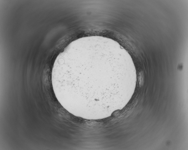 X0000116831059201001151221