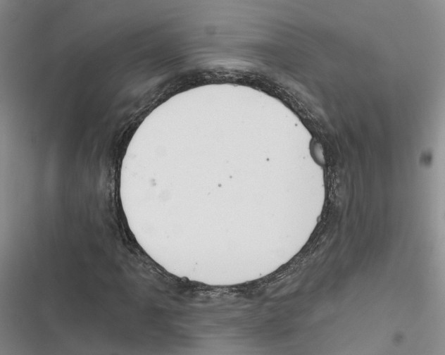 X0000116831061201001151221