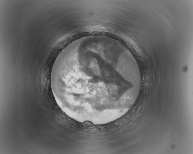 X0000116831063201001151221