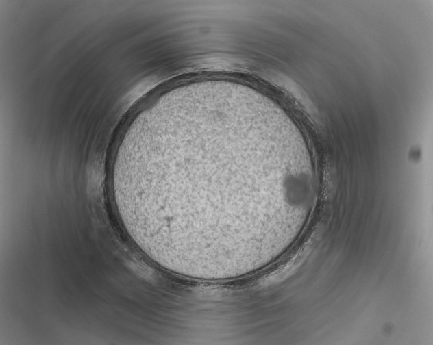 X0000116831065201001151221