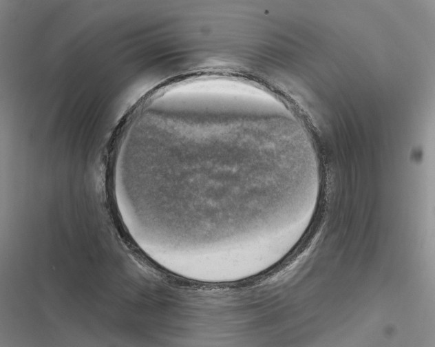 X0000116831066201001151221