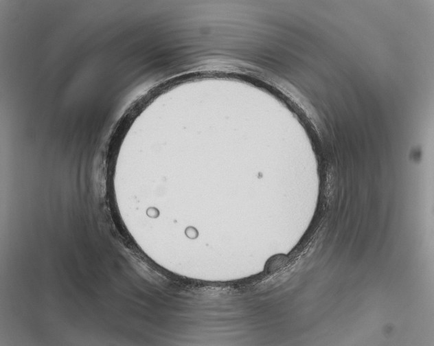 X0000116831067201001151221