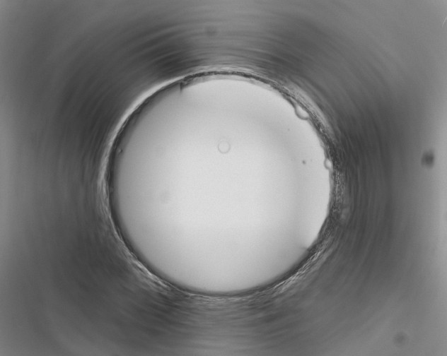 X0000116831068201001151221