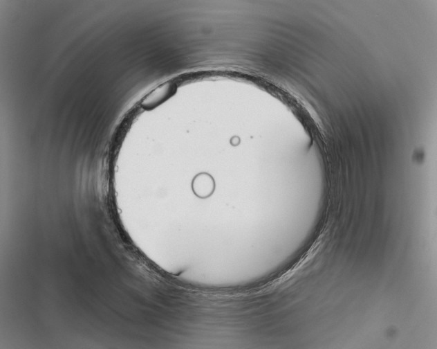 X0000116831069201001151221