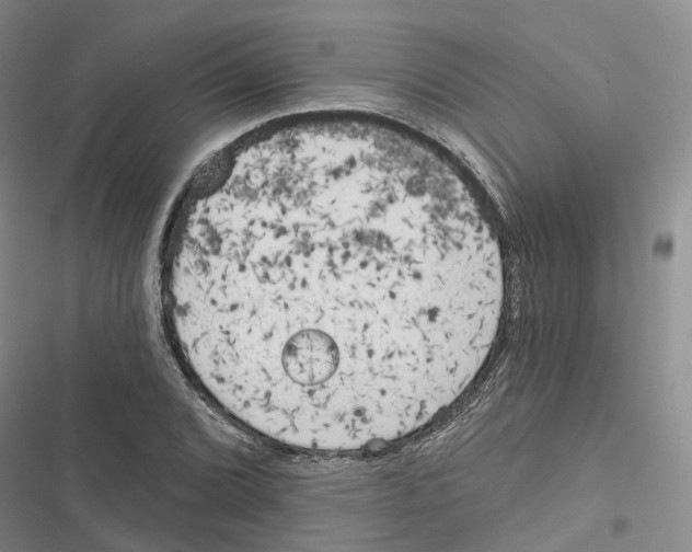 X0000116831072201001151221