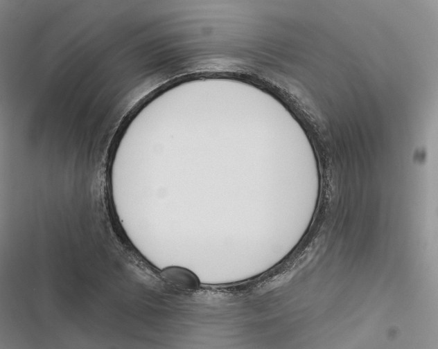 X0000116831073201001151221