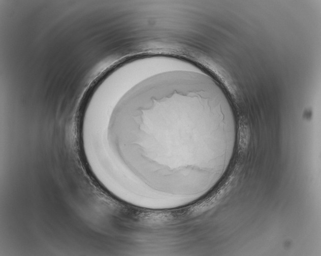 X0000116831074201001151221