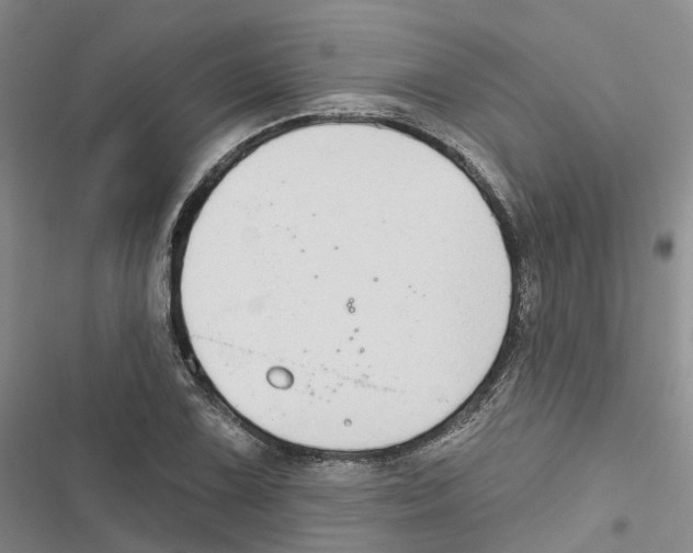 X0000116831075201001151221