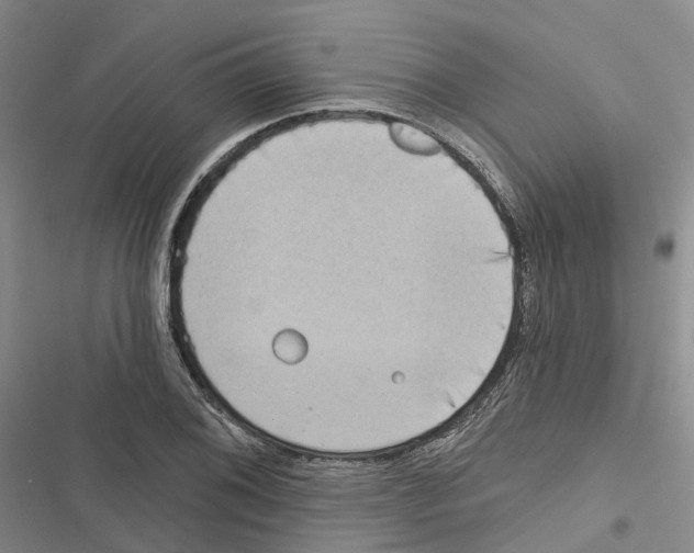 X0000116831076201001151221