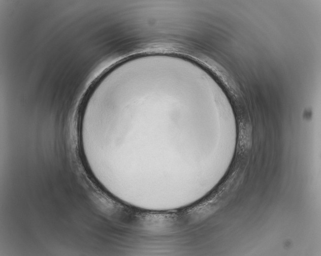 X0000116831078201001151221