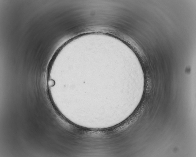 X0000116831079201001151221