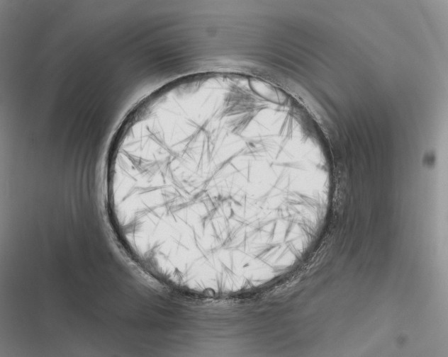 X0000116831080201001151221